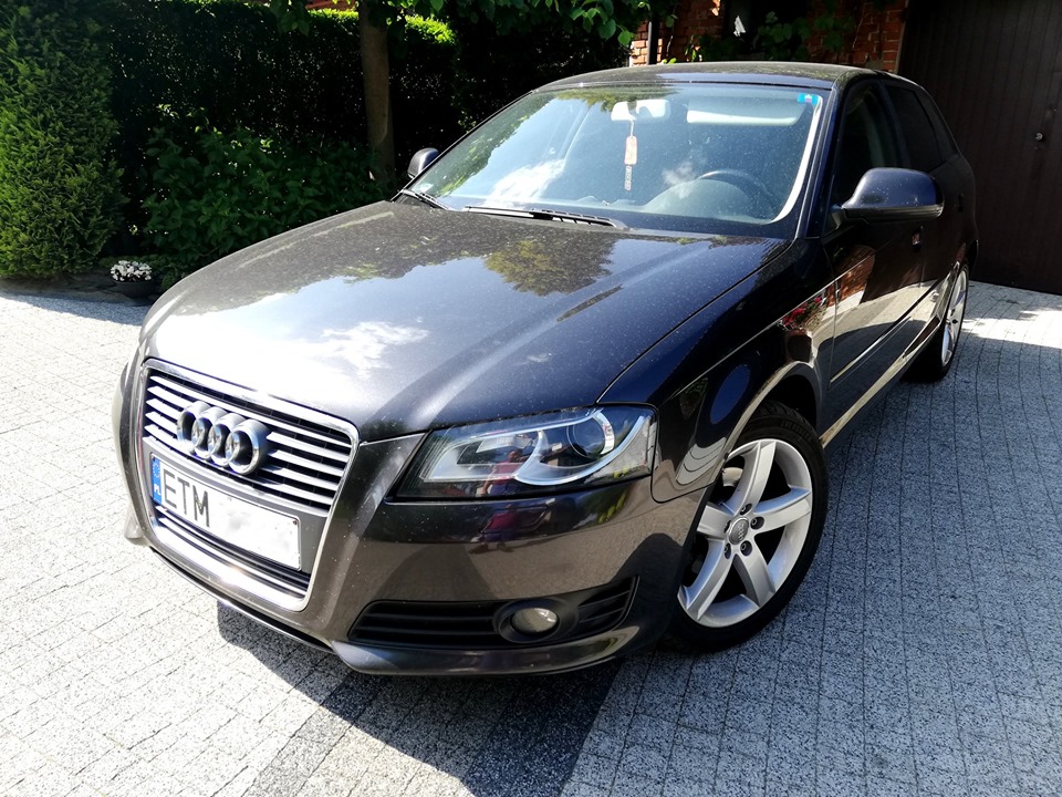 Chiptuning Audi A3 8P 1.6 TDI CR 105KM