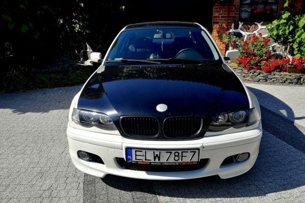 33902528 622768124752778 2594162488756928512 o