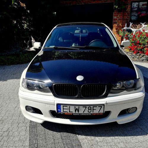 33902528 622768124752778 2594162488756928512 O