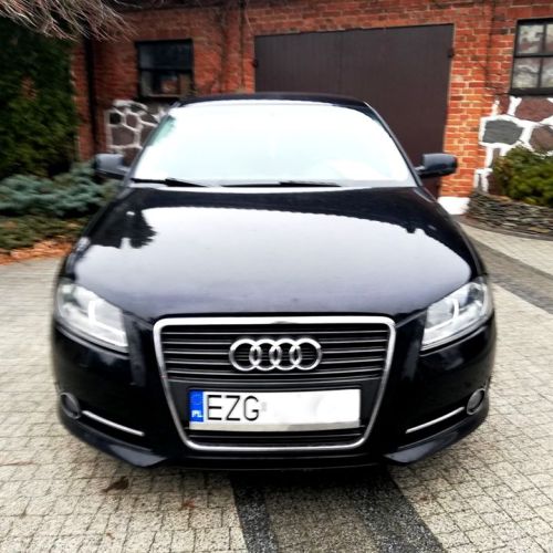 Audi A3 8P 16 TDI 90KM Chip 4
