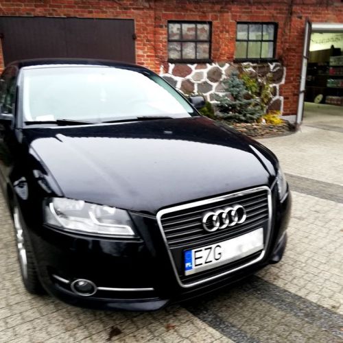 Audi A3 8P 16 TDI 90KM Chip 5