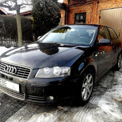 Audi A3 8P 19TDI 105KM 2