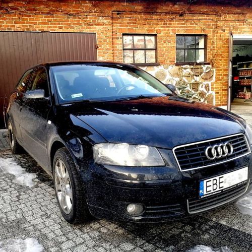 Audi A3 8P 19TDI 105KM 3