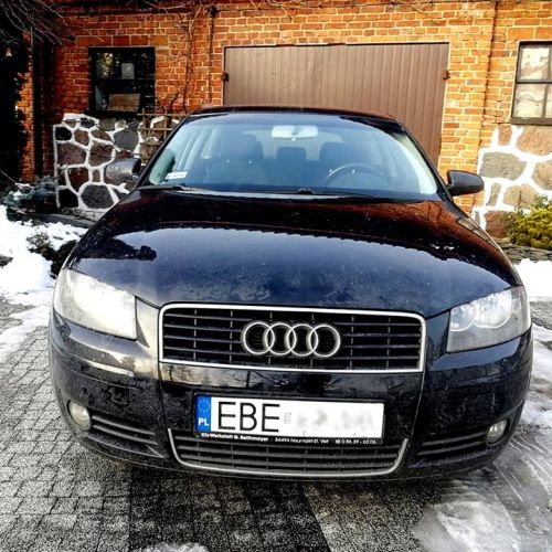 Audi A3 8P 19TDI 105KM 4
