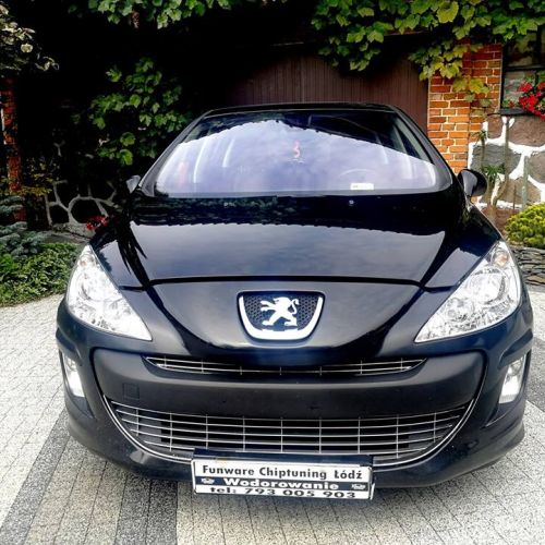 Peugeot 307 1.6 HDI 110KM Chiptuning Chip Tuning 2